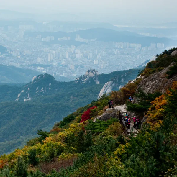 프리미엄 리사스튜디오 마사지 안내 이미지